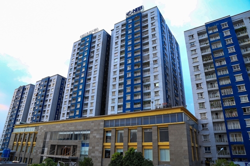 cổ phiếu 577
