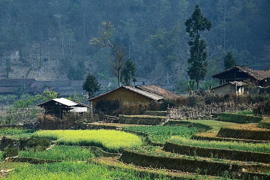 nhà truyền thống