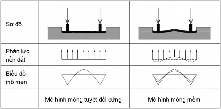 bản mô tả móng cứng và móng mềm