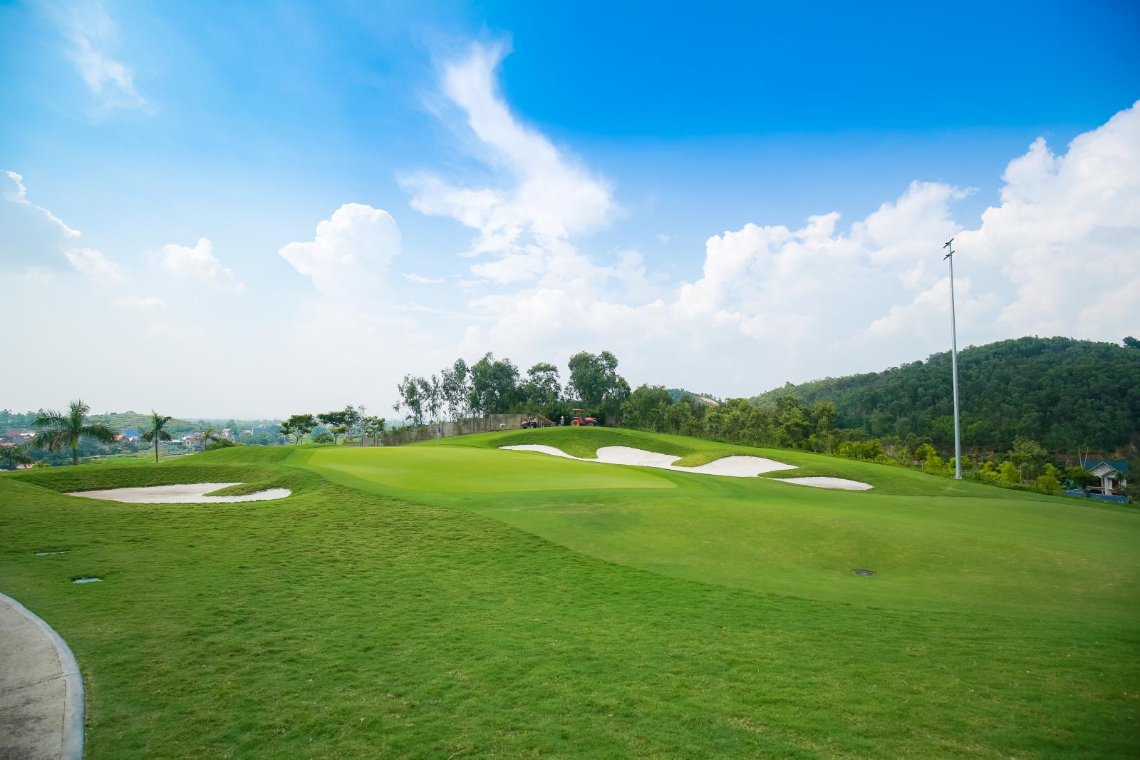 Sân golf xanh rộng lớn với nhiều cây cối phía xa