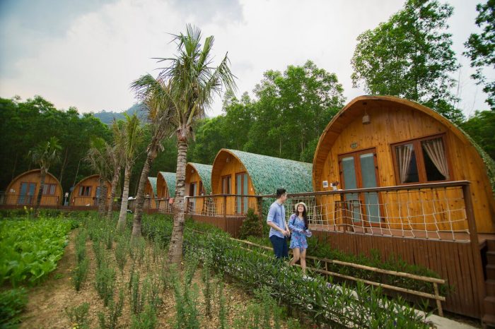 một farmstay với phong cảnh thơ mộng, có cây cối, vườn rau, 2 người đang dạo bước