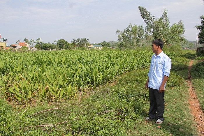 mua bán đất nông nghiệp