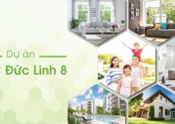 Khu dân cư Đức Linh 8