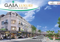 Gaia Luxury Vĩnh Lộc