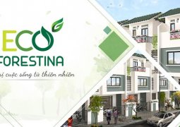 Eco Forestina