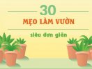                          30 mẹo siêu đơn giản để có một khu vườn đẹp như ý                     